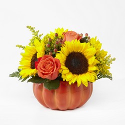 Harvest Traditions Pumpkin From Rogue River Florist, Grant's Pass Flower Delivery
